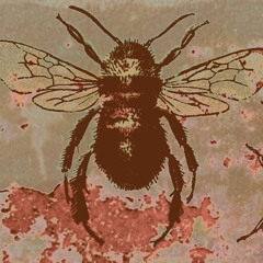 Le Bourdon, El Abejorro, The Bumblebee