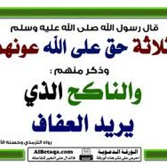 منهج النبي صلى الله عليه وسلم في قضية عفاف الشباب لفضيلة الشيخ الأستاذ الدكتور محمد سيد أحمد المسير