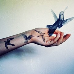 Dream
