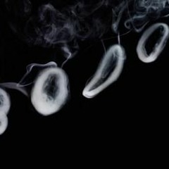Exhaling (4 TRACK FREEBIES)