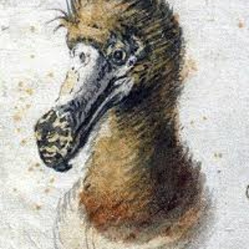 Erthupogus