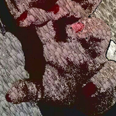 ♤I Like♡