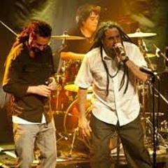 EL NATTY COMBO - 13 VIDAS