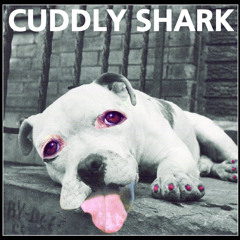 CUDDLY SHARK - What Goes Around