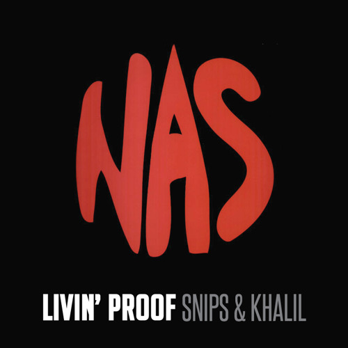 Nas Illmatic 20 Mix - Dj Snips & Khalil