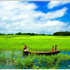 ভোরের আকাশে দিলে একি সুর/Bhorer Akashe dile eki shur