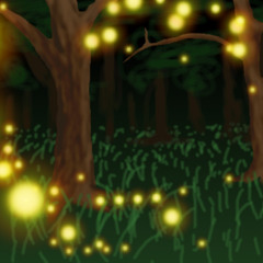 Fleeting Forest Lights