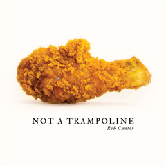 NOT A TRAMPOLINE