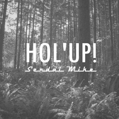Sendai Mike - HOL'UP!