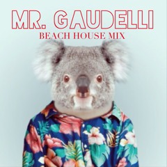 Sunset Beach House Mix