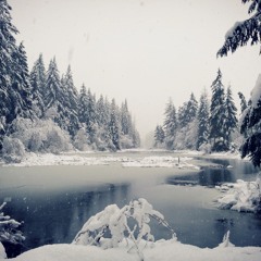 Mellom bakkar og berg