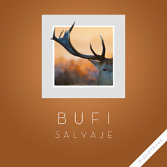 Bufi - Salvaje (Original Mix)