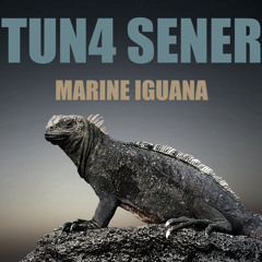 Tuna SENER - Marine Iguana ( Demo )