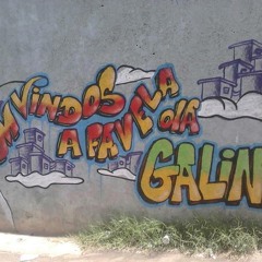 MC VITINHO   BONDE DA GALINHA NÃO É BAGUNÇA 2014 ♫♪ ( BAILE DA GALINHA 2014 )