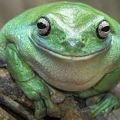 Smug Toad