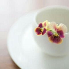 Don't Know Why - Norah Jones (cover by @mansel44) at Mansel44