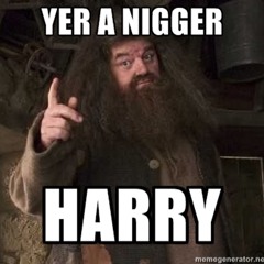 You're A Nigga, Harry
