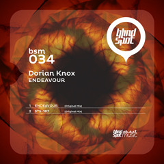 Dorian Knox - Endeavour EP on Blind Spot Music BSM034