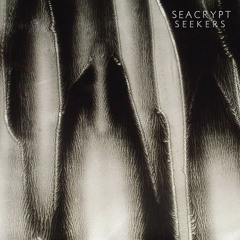 Exclusive: Seacrypt - The Messenger