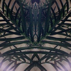 jungle