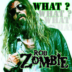 LS - Guitar Sample - Rob Zombie - What