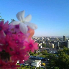 منوع