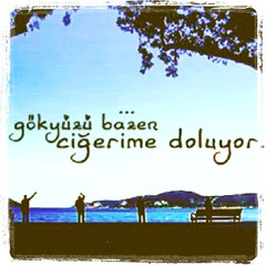 Su Yanındaki Parklar  Osman Sonant