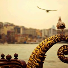 İlyas Yalçıntaş - İncir