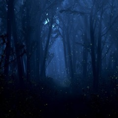 Sounds of the Night (Field recording - Free Download wav 48 000Hz 24 bits)
