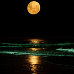 Essdy See - Alright (Eo3 Remix)