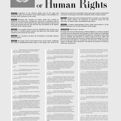 21st century genocide - systematic suppression and grave violations of human rights