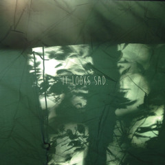 It Looks Sad. "Self-Titled"