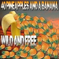 Wild & Free - 40 Pineapples & a banana