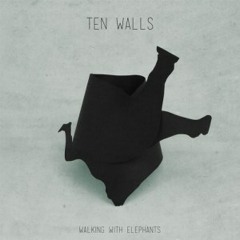 Ten Walls-Nochnoy Dozor (Original Mix)