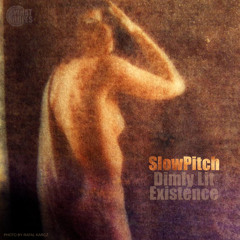 SlowPitch - Organic Seed Ft Pursuit Grooves - (Dimly Lit Existence)