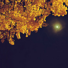 Meditation In BATHROOM