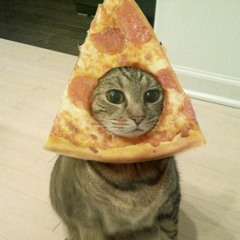 Pizzacat
