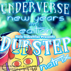Natrix Underverse 2014 New Years Edition
