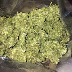 Kush Ina Cigarillo X Danny