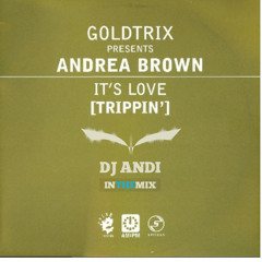 Goldtrix pres. Andrea Brown - It's Love [Trippin'] (DJ ANDI Remix)