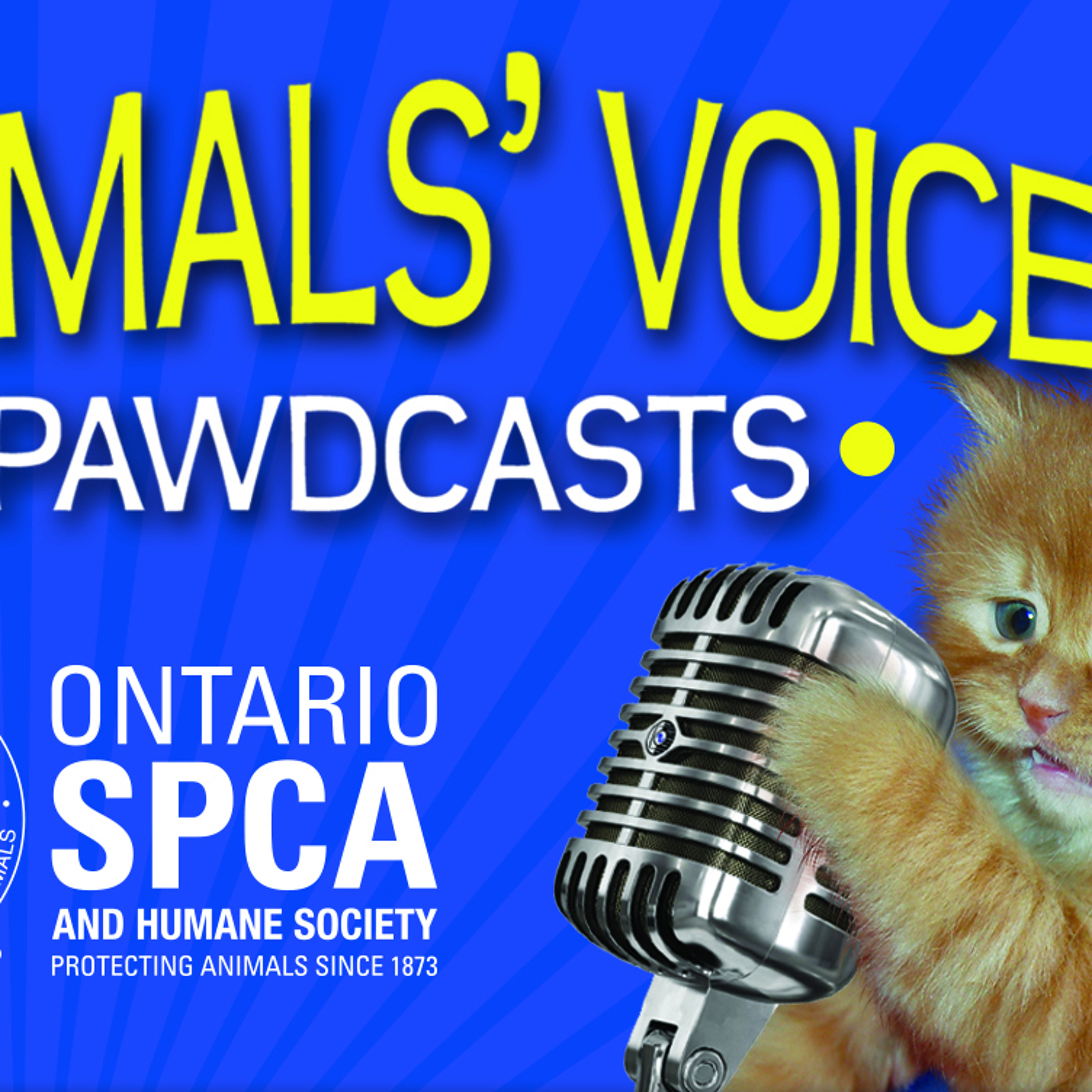 Ontario SPCA - Talking all things animal-related!