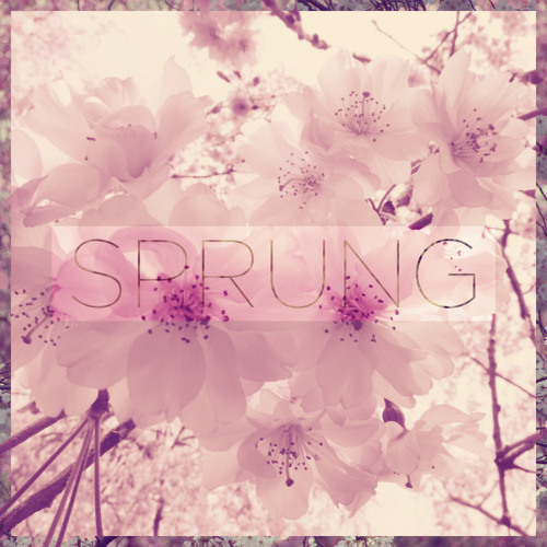 Sprung