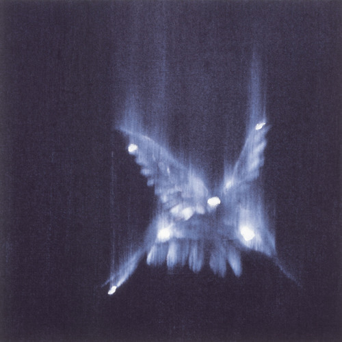 Finding Refuge in your Community