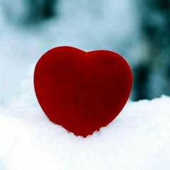 وائل كافوري_ شو مبكيكي