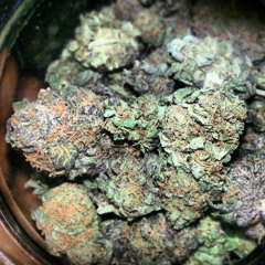 Cant take it - Rossta, Buss Da Husslah, Sunne, Birdz,  Cheese !! ( Prod. By Maze Produk )