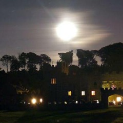 In A Castle With You: The Soundtrack