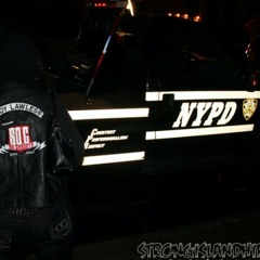 FXCK FLASHING LIGHTS! - LadyLawless feat. Mr. Stylze