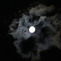 Atrapados - Dr. Plex- Ariadna- impas- sativarap- slone