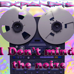 I DON'T MIND THE NOIZE