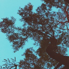 Autobrennt Mix of the week: Uchi